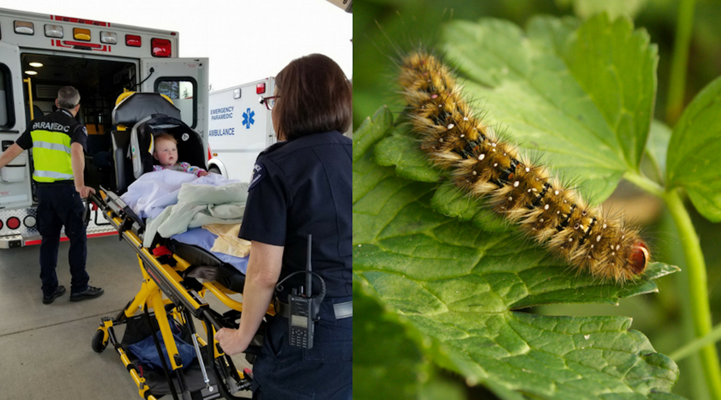 toddler being pushed into an ambulance next to an image of a caterpillar