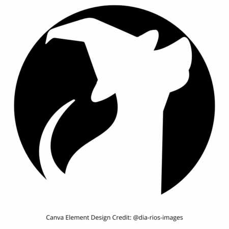 24 Halloween Pumpkin Carving Templates For The Whole Family – Love What ...