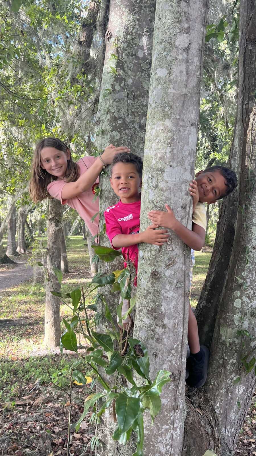 Three siblings smiling while climbing tree