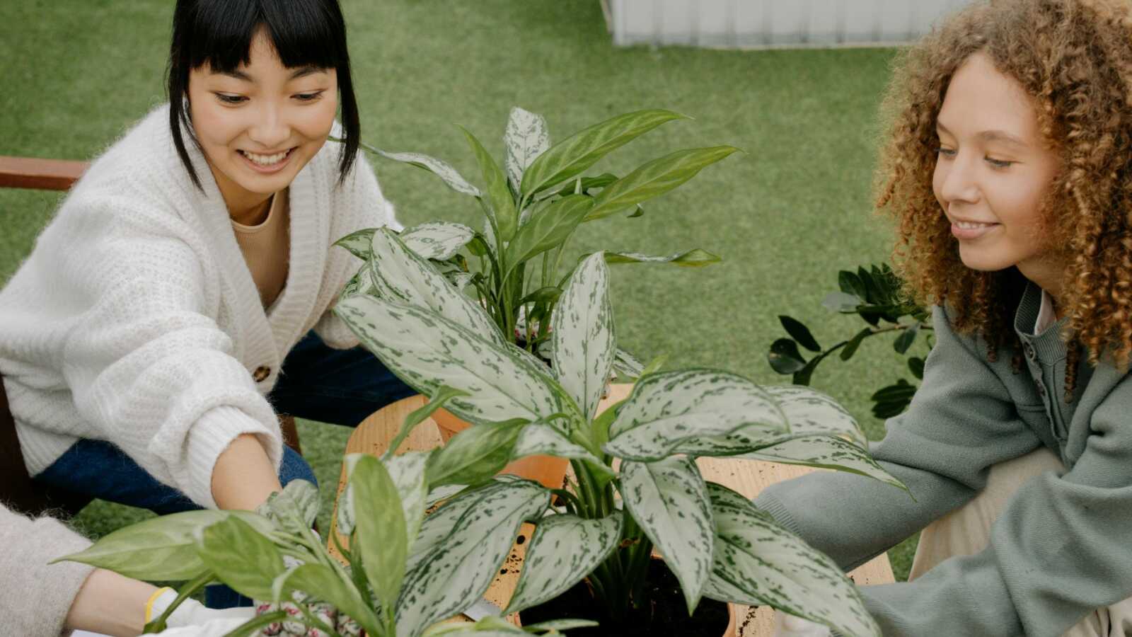 two women planting outside together