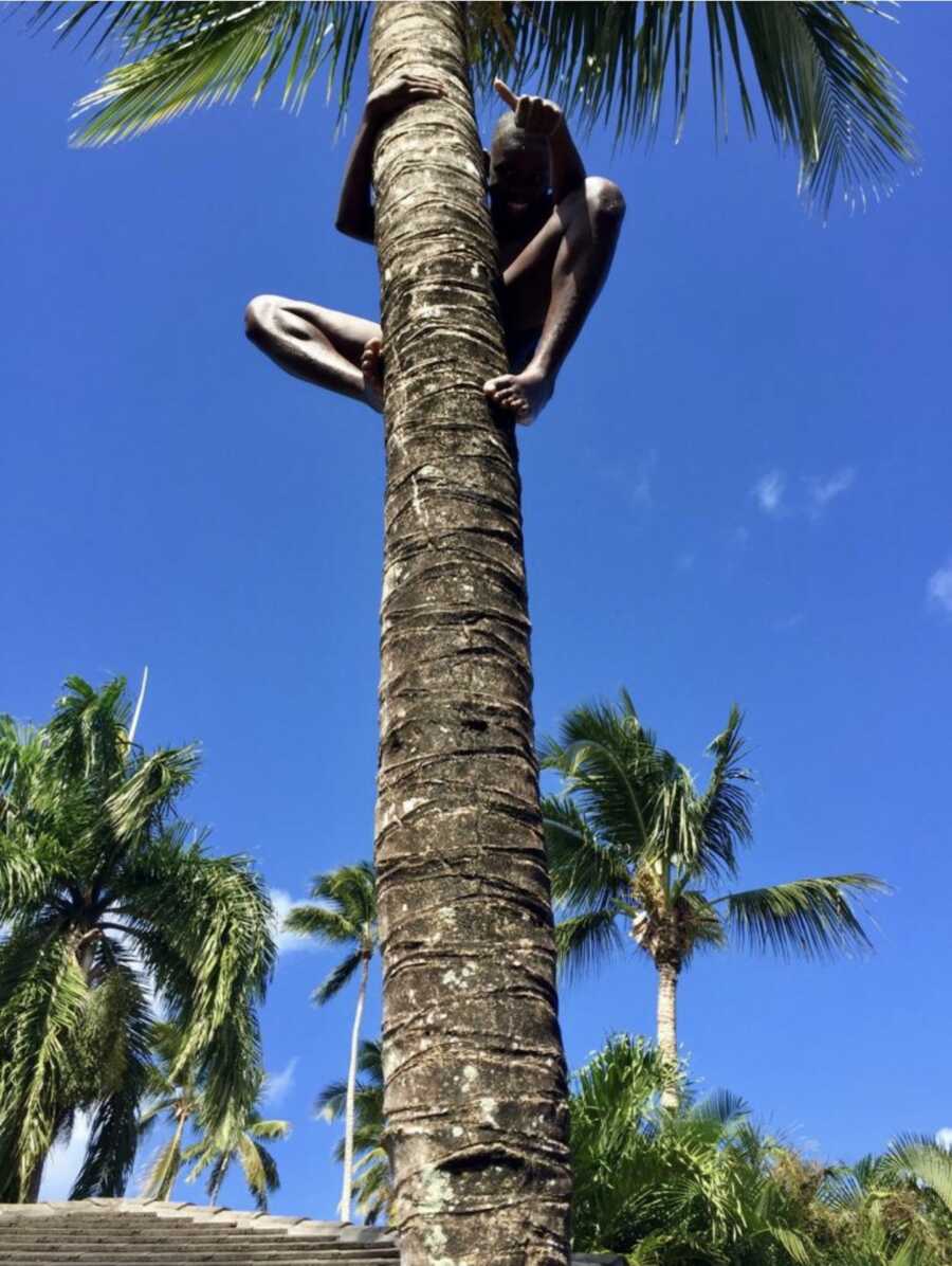 Smiling boy climbing palm tree